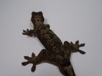 DSC01860.jpg