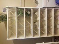 20180326_092422.jpg