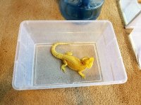 20161221_151155.jpg