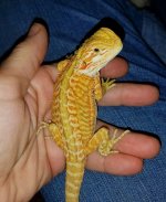 20161103_144717.jpg