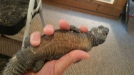 thumbnail_20171118_092754[2].jpg