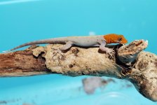 20180129_222109.jpg