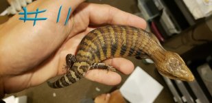 20180620_101443.jpg