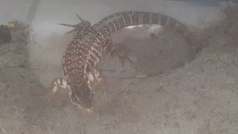 20170928_094040.jpg