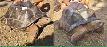 FITB-Blast-2018-06-05-Aldabra_r3_c1.jpg