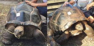 FITB-Blast-2018-06-05-Aldabra_r4_c1.jpg