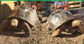 FITB-Blast-2018-06-05-Aldabra_r5_c1.jpg