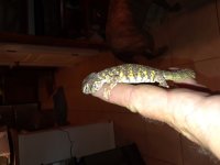 20180406_213633.jpg
