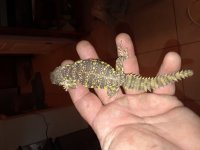 20180406_213624.jpg