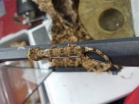 20171116_143829.jpg