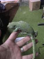 IMG_0433.jpg