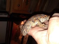 20180406_214402.jpg