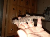 20180406_214523.jpg