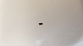 20180620_125738.jpg