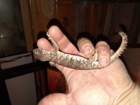 20180406_214532.jpg