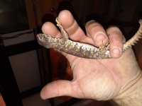 20180406_214536.jpg