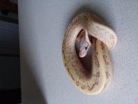 20171015_163312.jpg