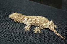 IMG_3783.jpg