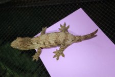 IMG_3776.jpg