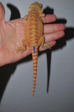 DSC_0173.jpg