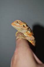 DSC_0174.jpg