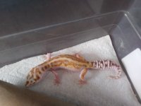 20180404_092031.jpg