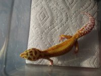 20180322_090716.jpg