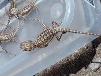 20180704_114604.jpg