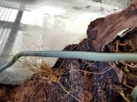 20180507_162119.jpg