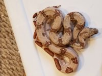 20180127_103431.jpg