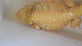 20171209_142039.jpg