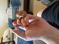 20180505_122228.jpg