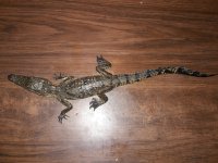 20180224_154304.jpg