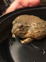 IMG-20171229-WA0004.jpg