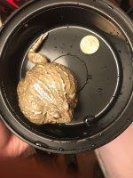 IMG-20171229-WA0003.jpg