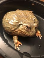 IMG-20171229-WA0002.jpg