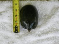 DSCN0361.jpg