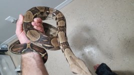 20180208_024720.jpg