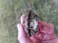 20180419_081937.jpg