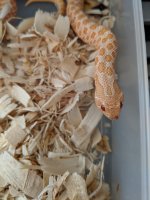 MVIMG_20180507_070751.jpg