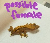 20180428_213311.jpg