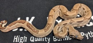 thumbnail_20180507_103653.jpg