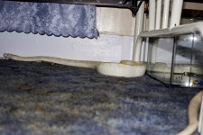 IMG_6661e.jpg