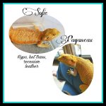 PicsArt_03-15-07.30.54.jpg