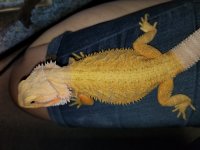 20180808_124957.jpg