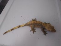 20180413_095055.jpg