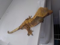 20180323_124145.jpg