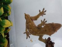 20180413_095002.jpg