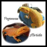 PicsArt_02-07-08.31.05.jpg