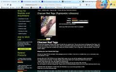 Screen Shot 2018-06-21 at 3.13.01 PM.jpg